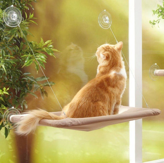 Hamaca Furiers™ para Gatos – Cama de Ventana Soleada y Ultra Resistente